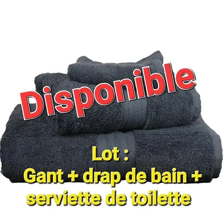 Daire 400m De La Dolus d'Oléron
